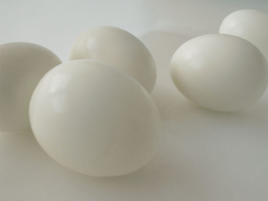 [Egg WH 011]