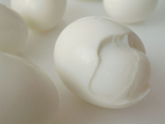 [Egg WH 024]